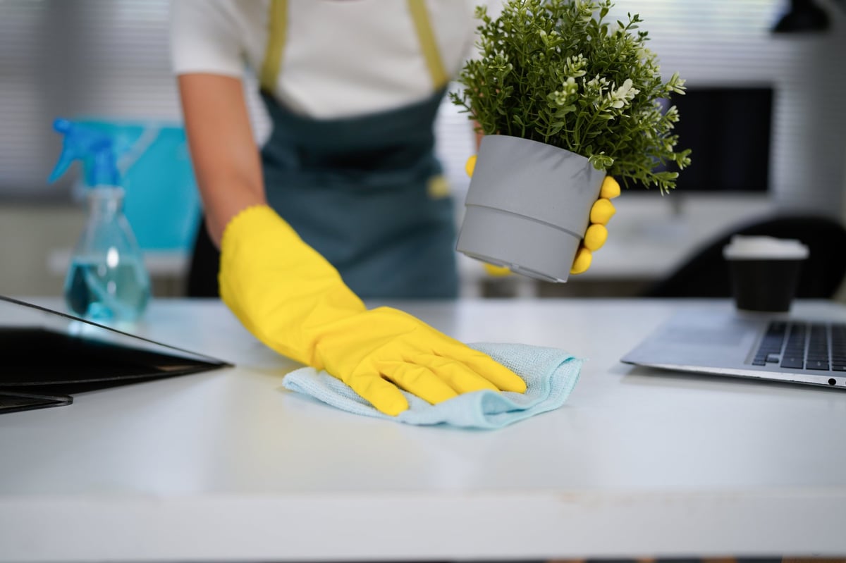 Professional cleaning service in progress